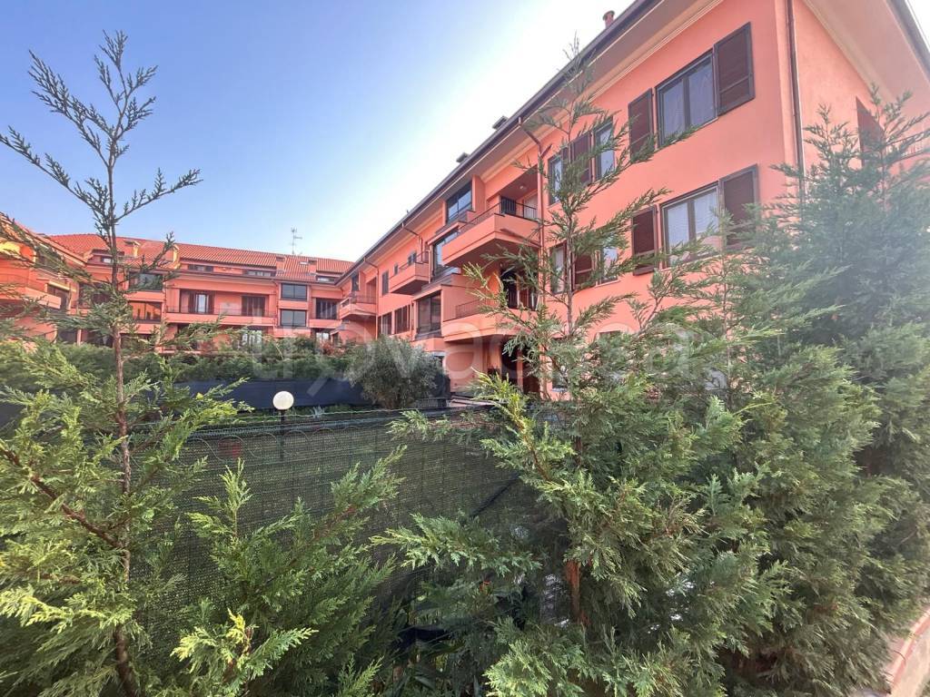 immagine annuncio 1 di 15