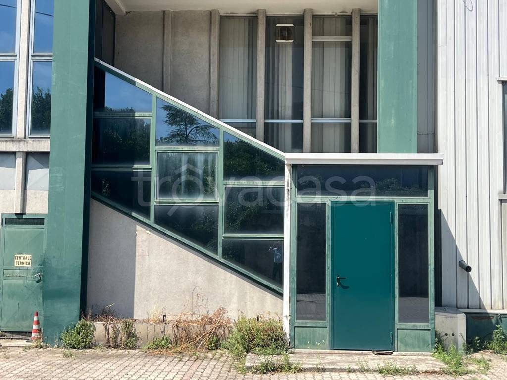 immagine annuncio 2 di 11