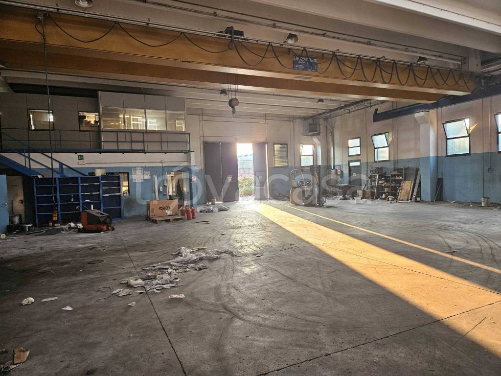 immagine annuncio 6 di 15