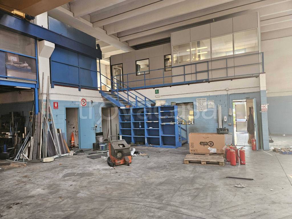 immagine annuncio 7 di 15