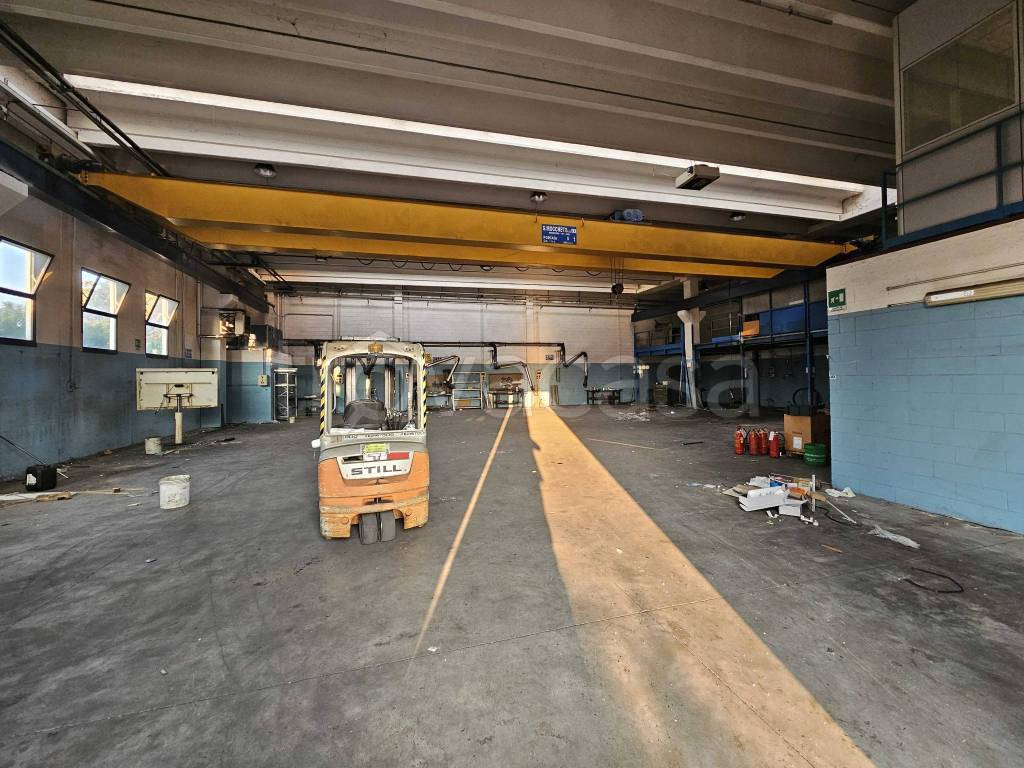 immagine annuncio 9 di 15