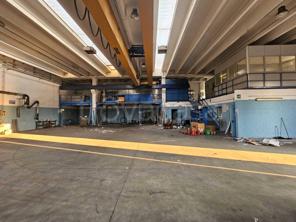 immagine annuncio 10 di 15