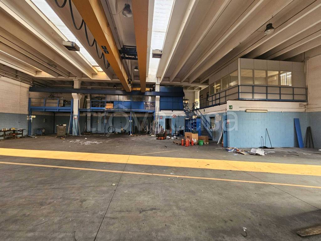 immagine annuncio 11 di 15