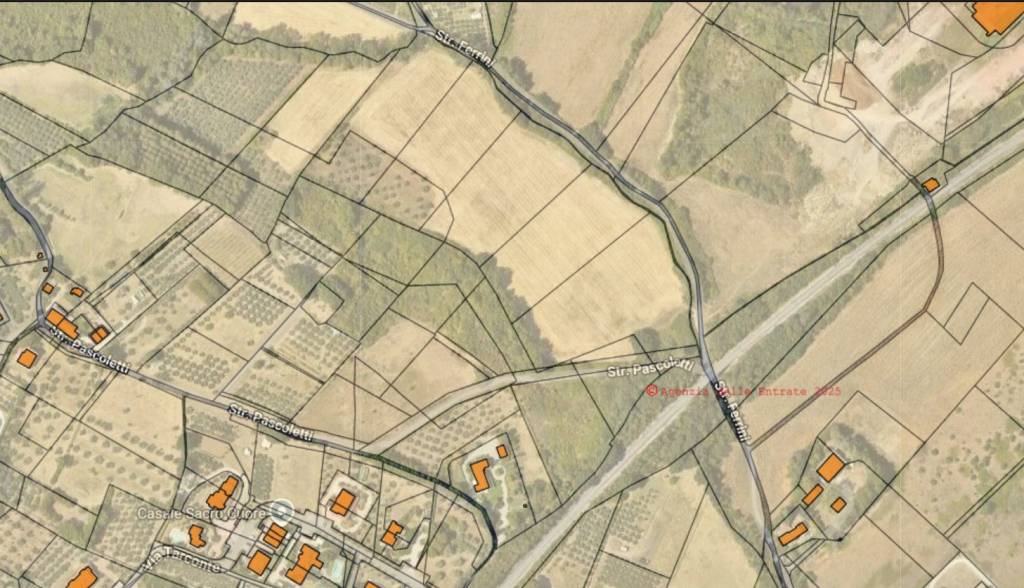 immagine annuncio 2 di 4