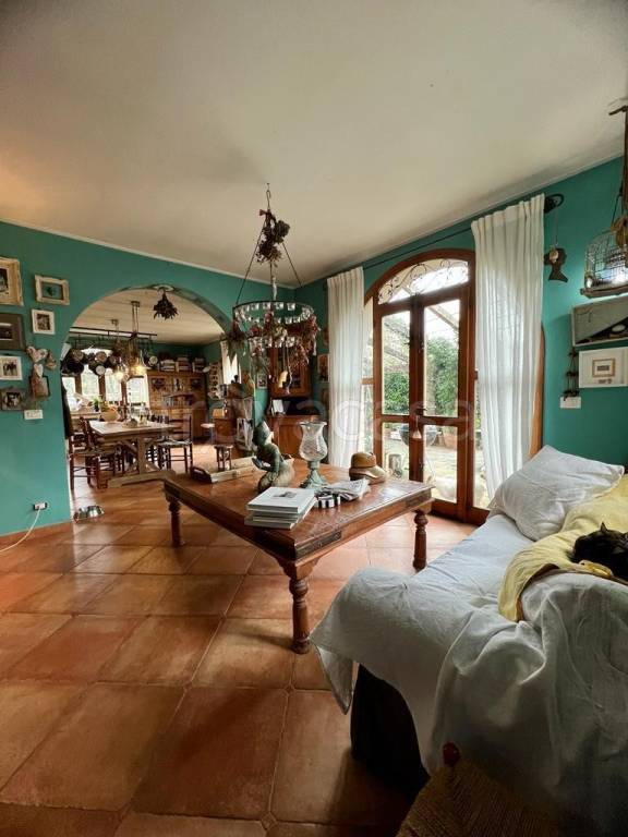 immagine annuncio 12 di 15