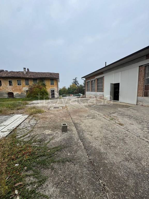 immagine annuncio 2 di 11