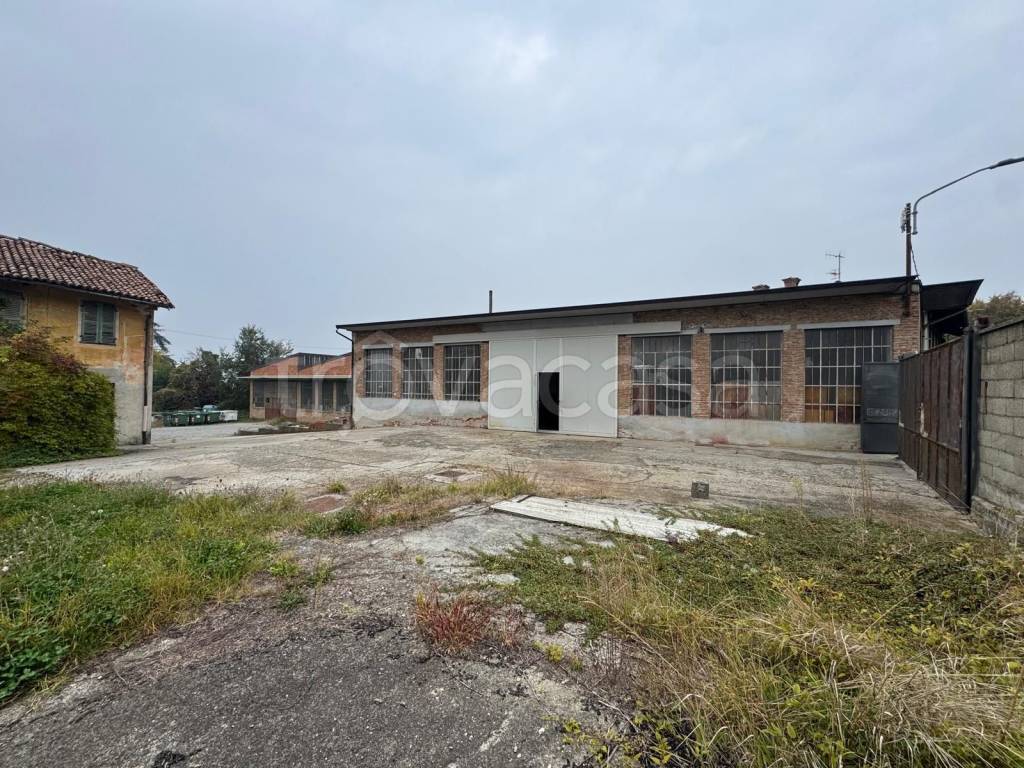 immagine annuncio 7 di 11