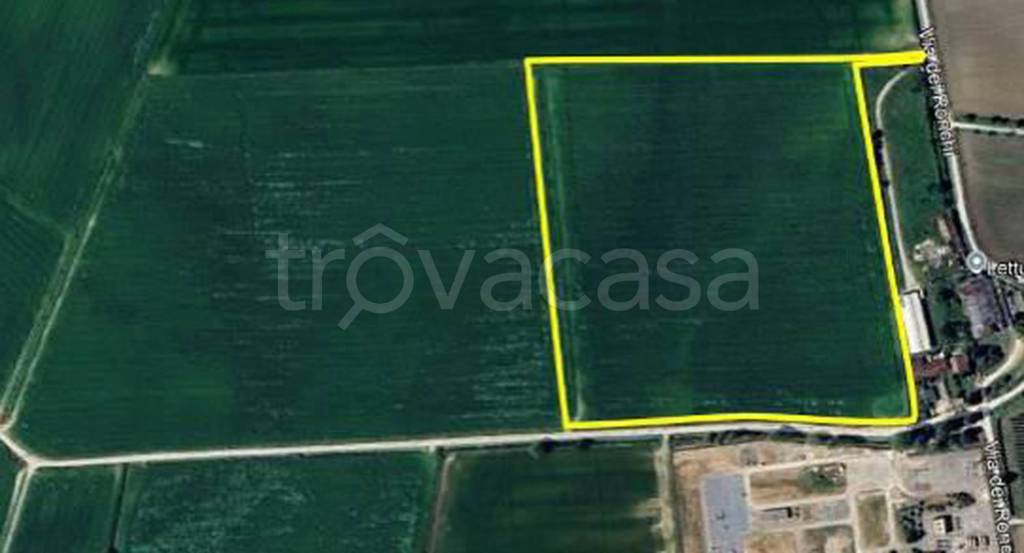 immagine annuncio 6 di 13