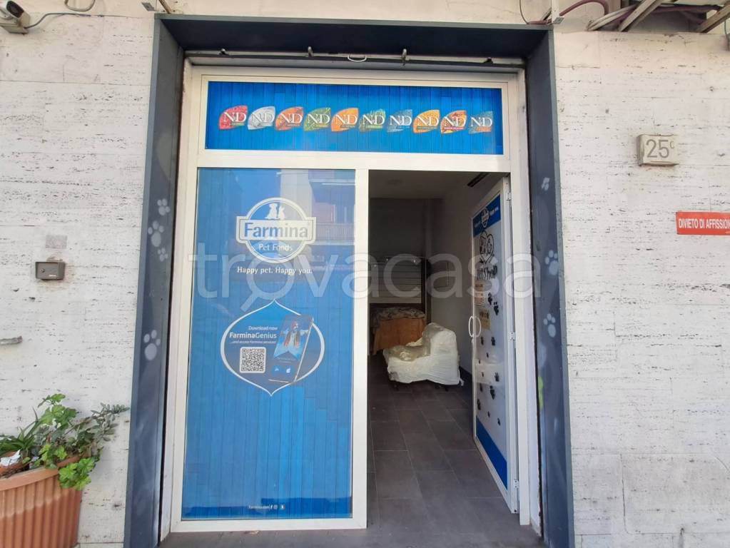 immagine annuncio 2 di 7