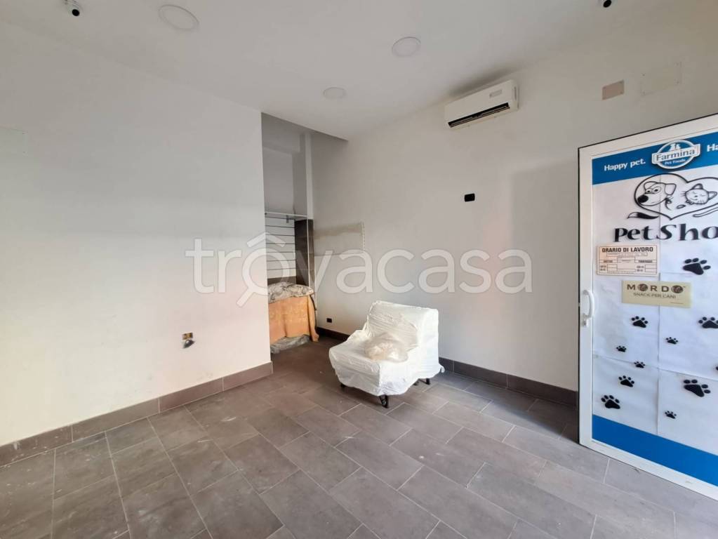 immagine annuncio 4 di 7