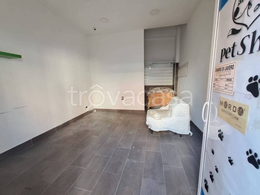 immagine annuncio 3 di 7