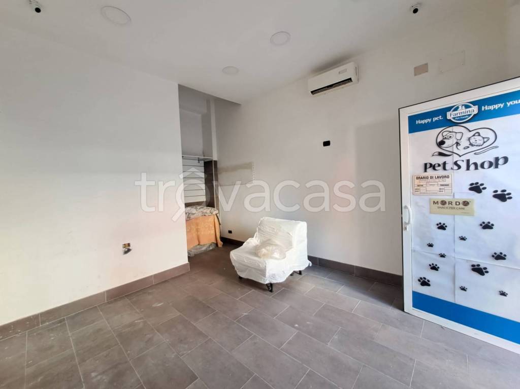 immagine annuncio 6 di 7