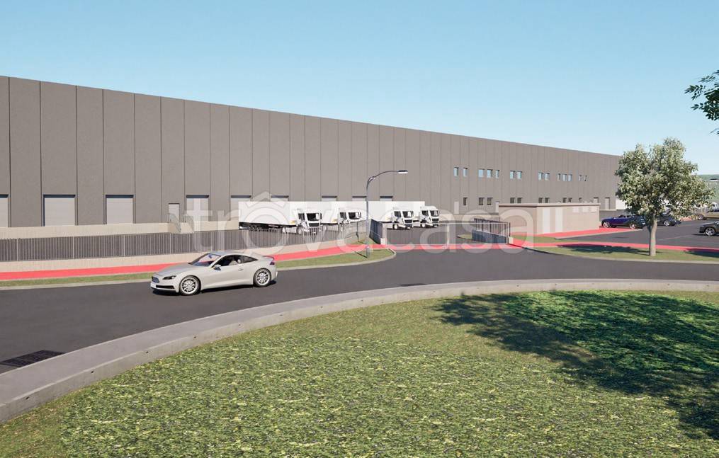 immagine annuncio 3 di 11