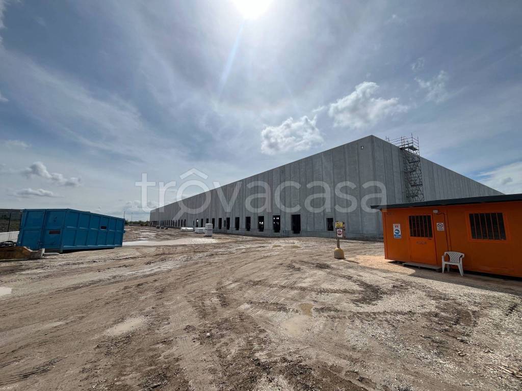 immagine annuncio 9 di 11