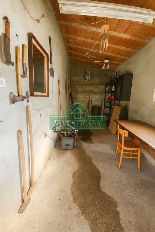 immagine annuncio 11 di 14