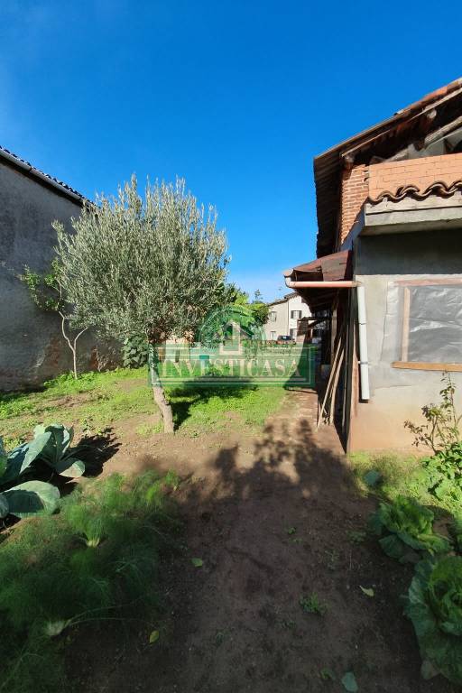 immagine annuncio 12 di 14