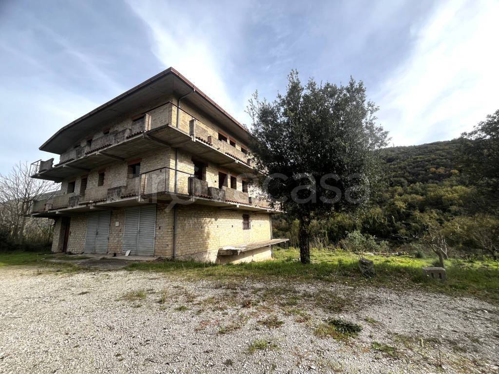 immagine annuncio 1 di 13