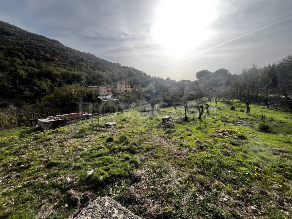 immagine annuncio 11 di 13