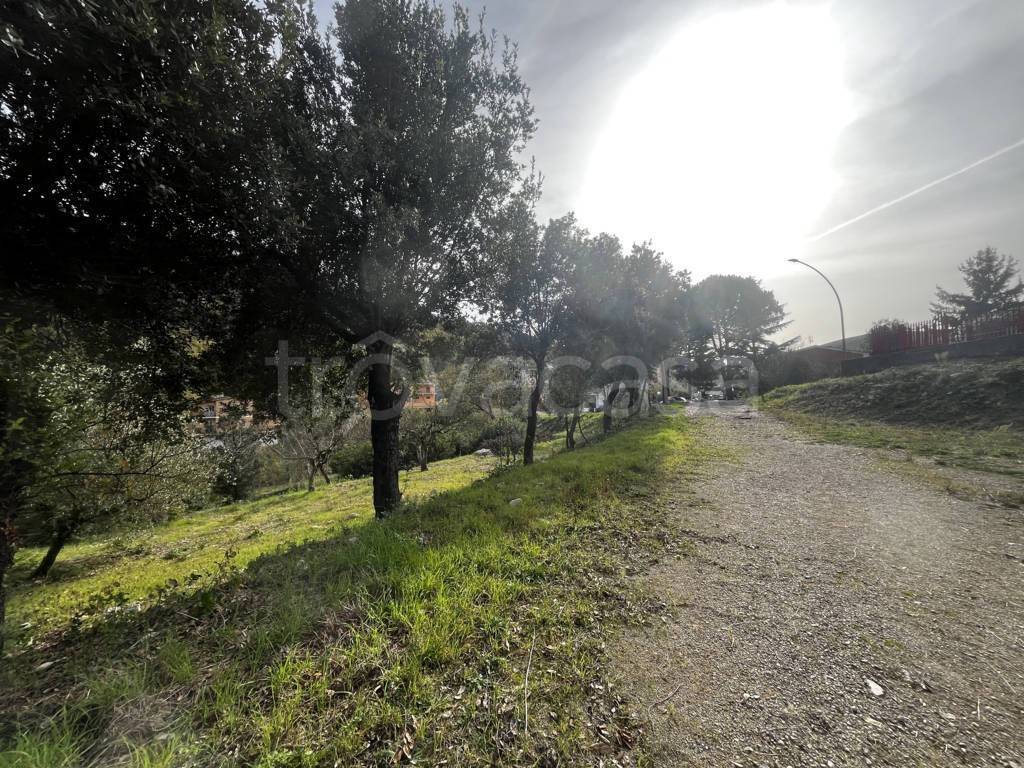 immagine annuncio 12 di 13