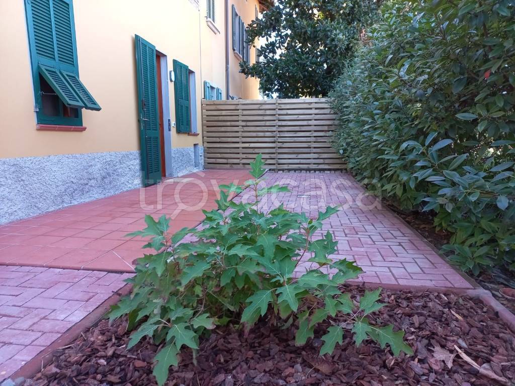 immagine annuncio 5 di 6