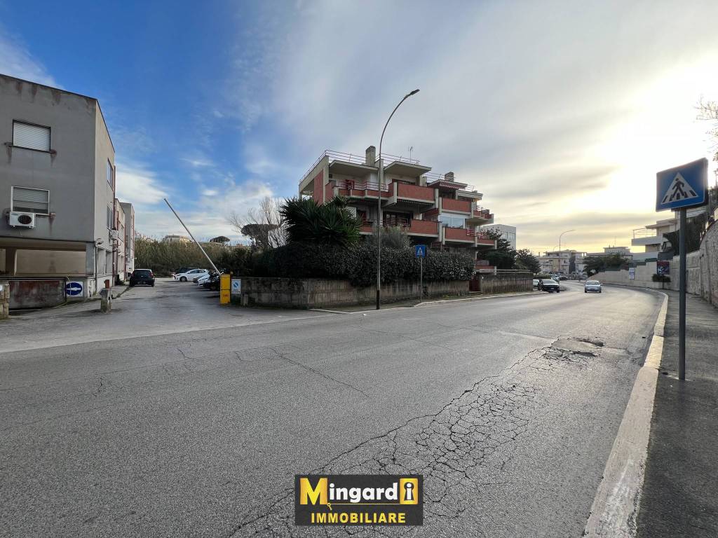 immagine annuncio 5 di 7