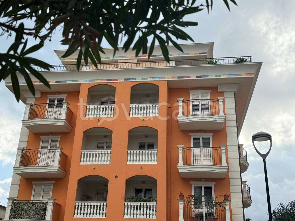 immagine annuncio 8 di 14