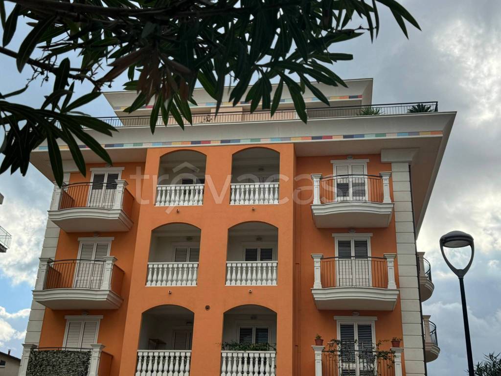 immagine annuncio 9 di 14