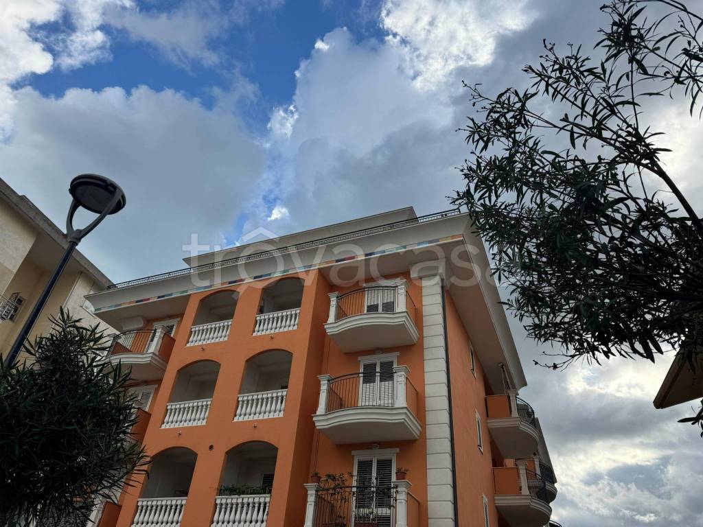 immagine annuncio 11 di 14