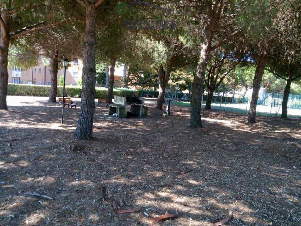 immagine annuncio 13 di 14