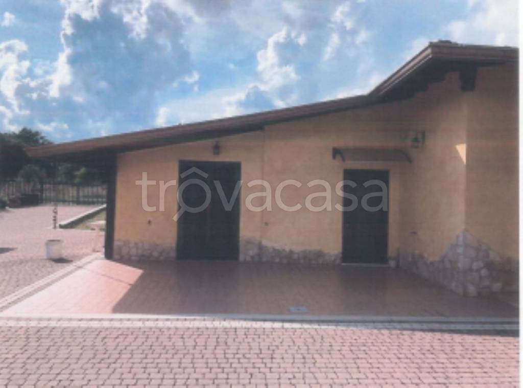 immagine annuncio 3 di 11