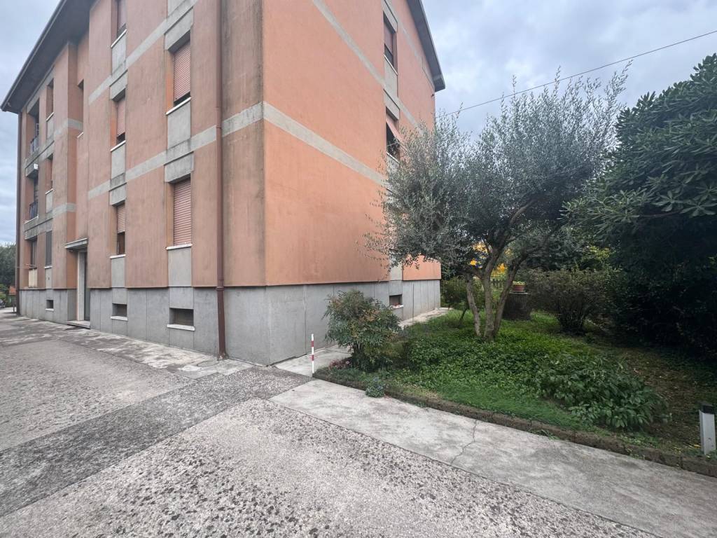 immagine annuncio 2 di 11