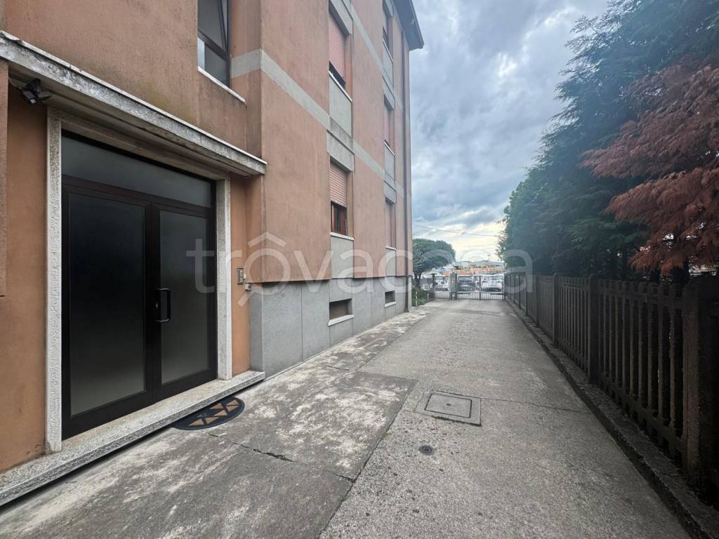 immagine annuncio 1 di 11