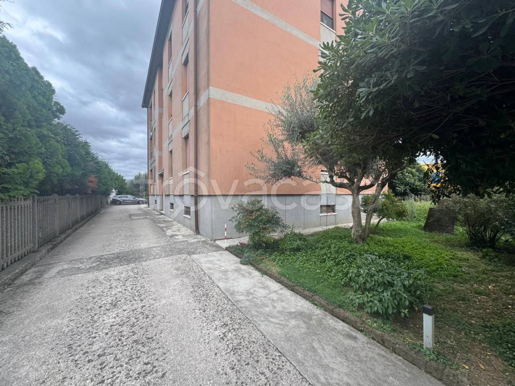 immagine annuncio 3 di 11