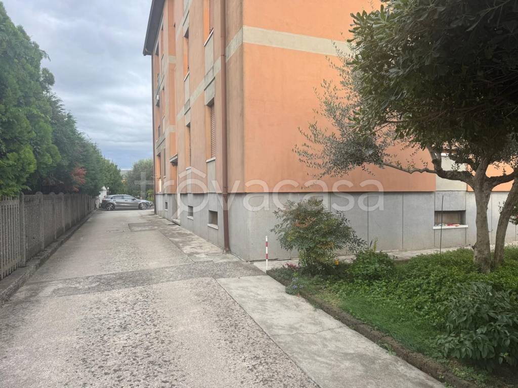 immagine annuncio 4 di 11