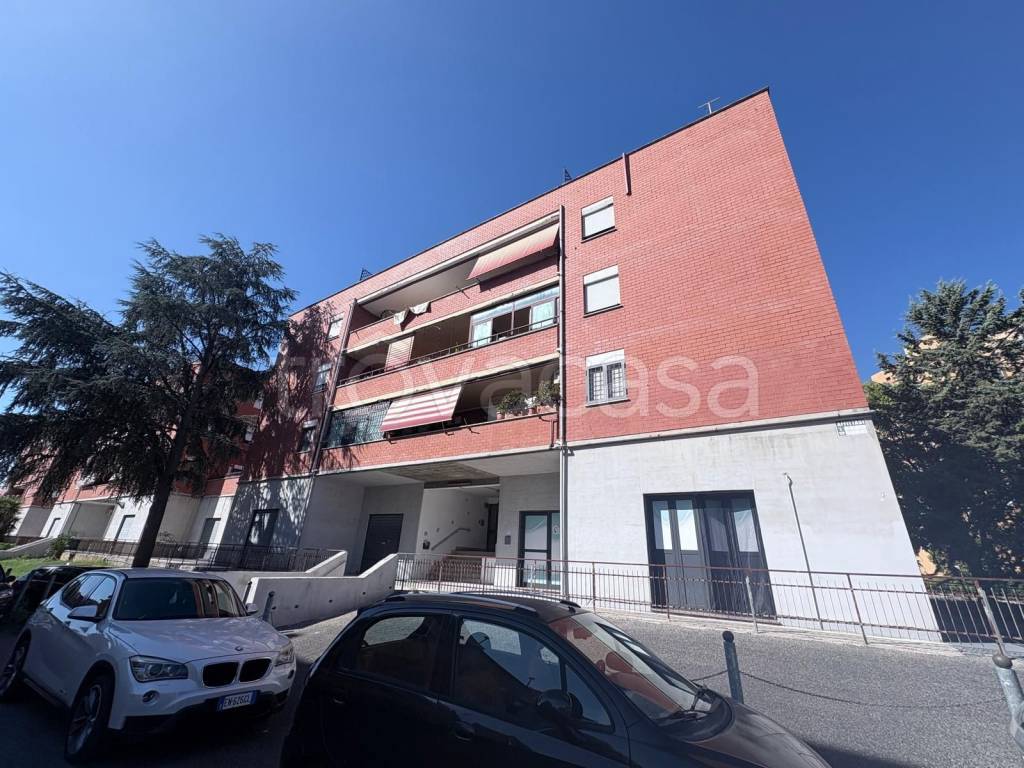 immagine annuncio 7 di 15