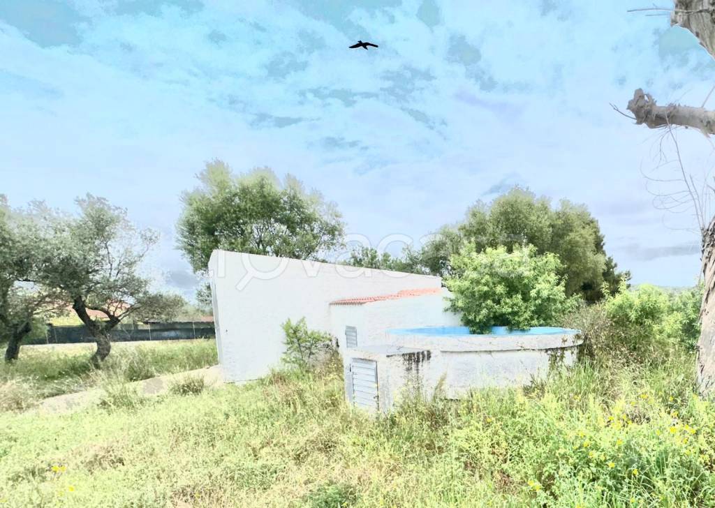 immagine annuncio 13 di 14