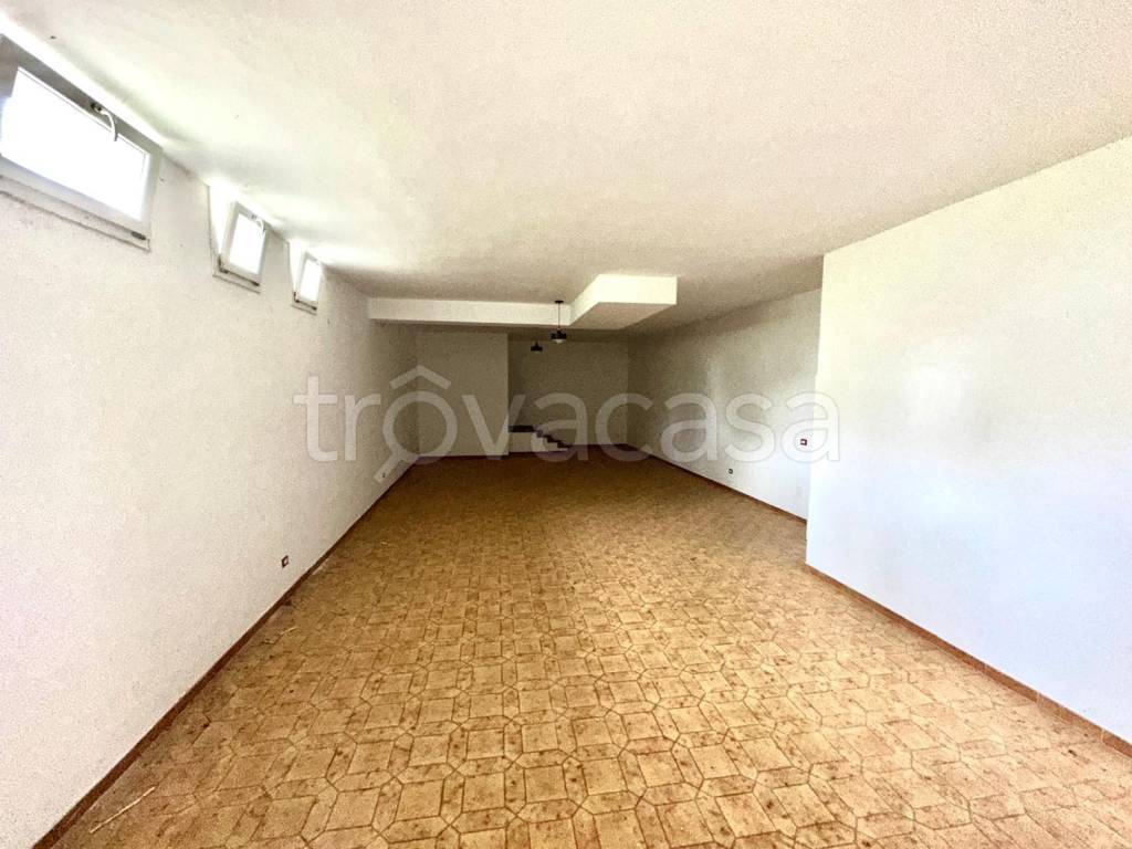 immagine annuncio 9 di 14