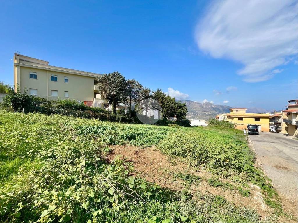 immagine annuncio 1 di 6