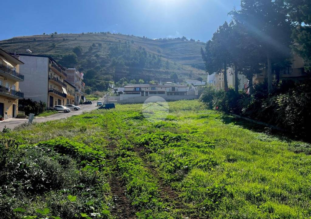 immagine annuncio 4 di 6