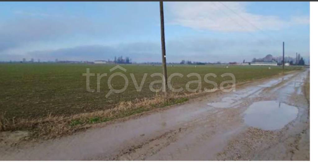 immagine annuncio 8 di 14