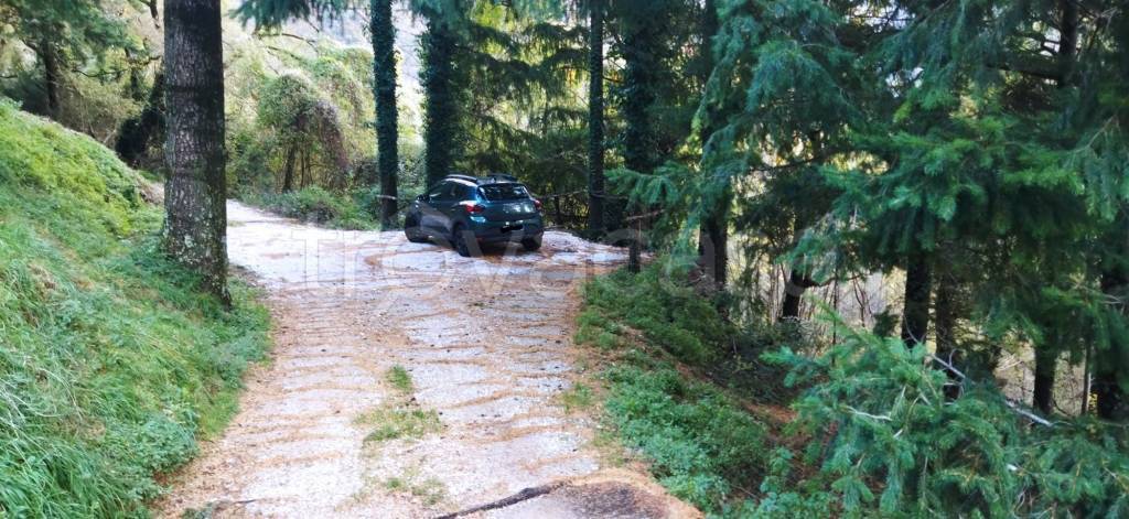 immagine annuncio 5 di 14