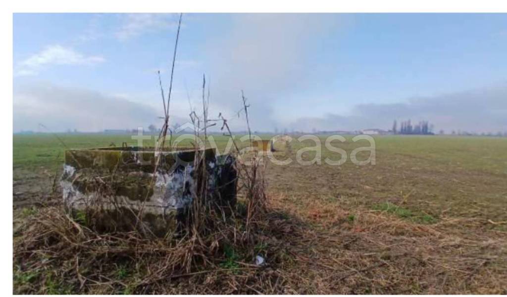 immagine annuncio 9 di 14