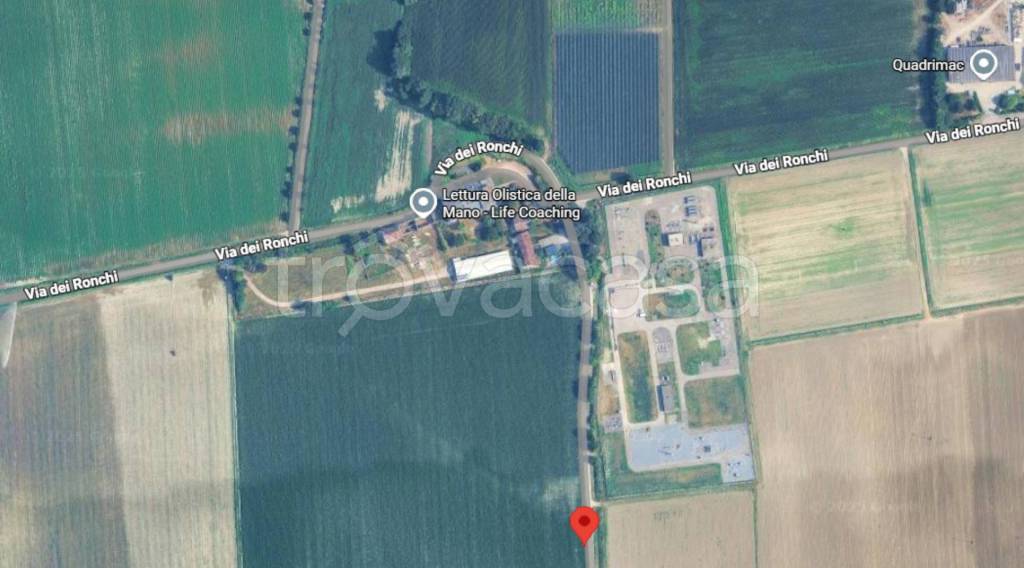 immagine annuncio 11 di 14