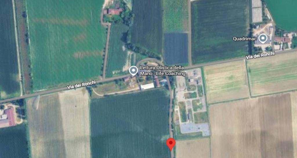 immagine annuncio 12 di 14