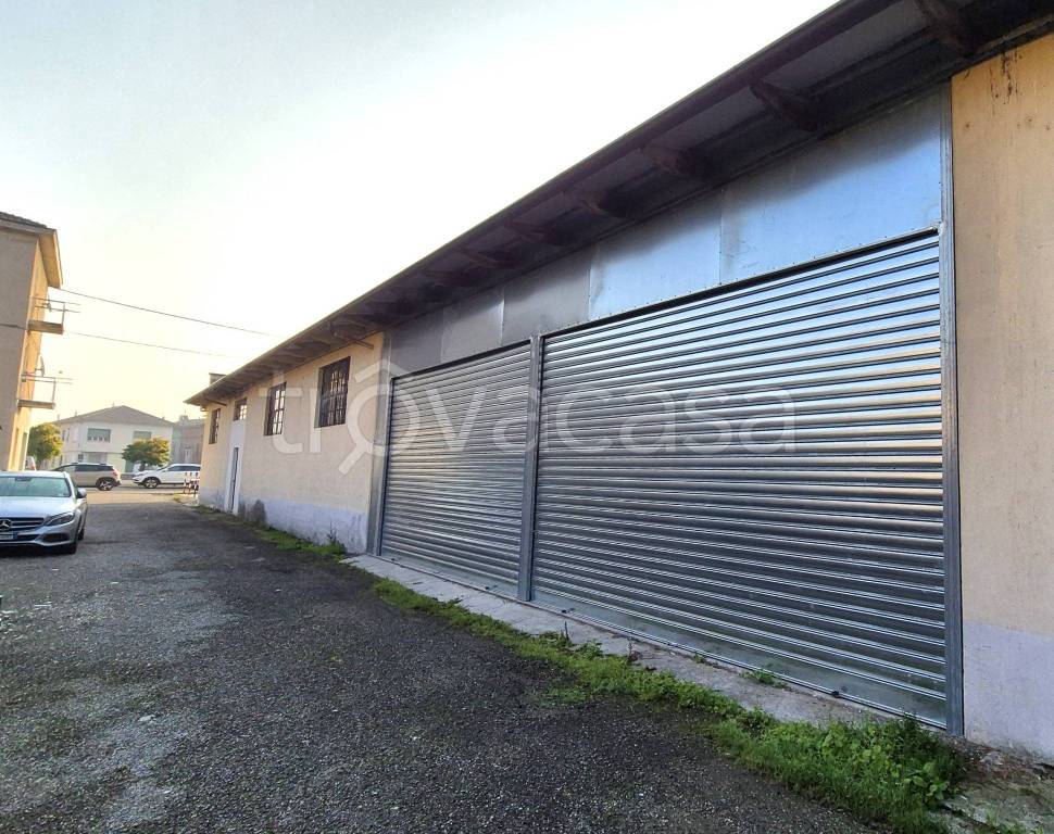 immagine annuncio 1 di 8