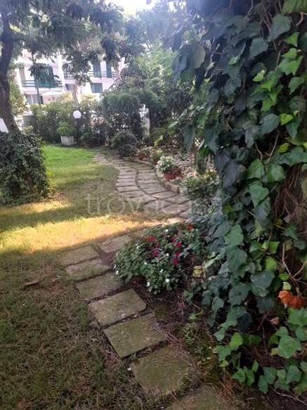 immagine annuncio 9 di 12