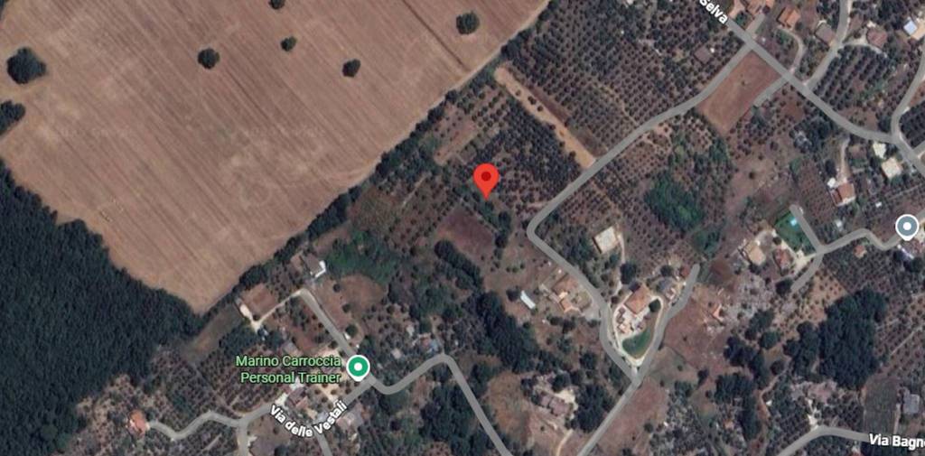 immagine annuncio 1 di 11