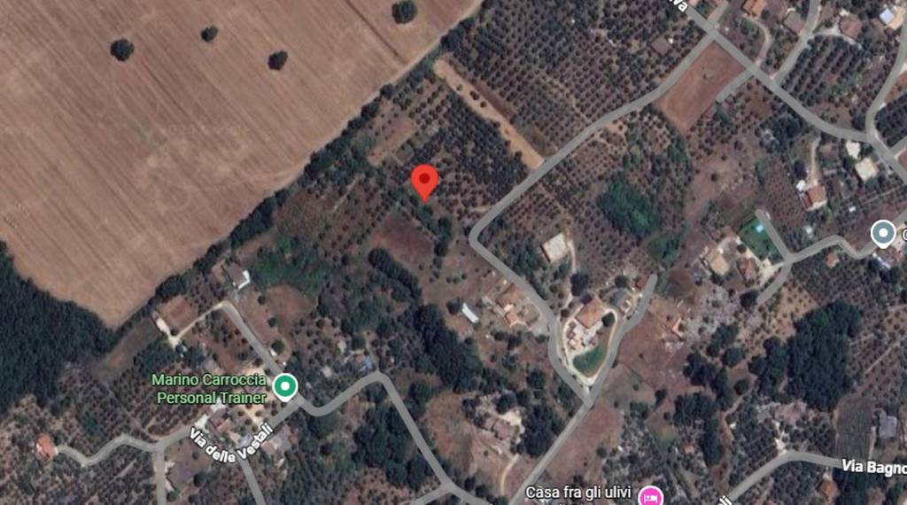 immagine annuncio 2 di 11