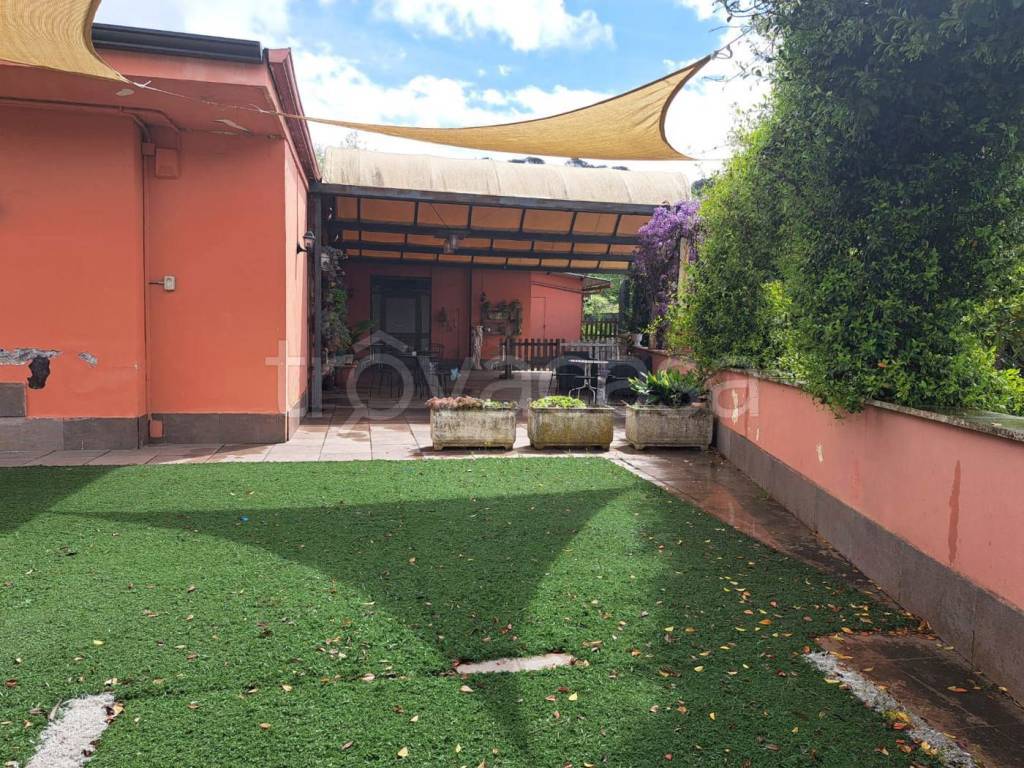 immagine annuncio 2 di 12