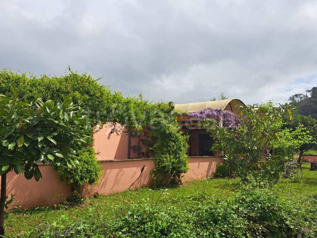 immagine annuncio 6 di 12